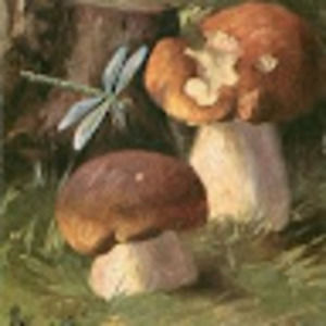 Meet your Posher, Mayo